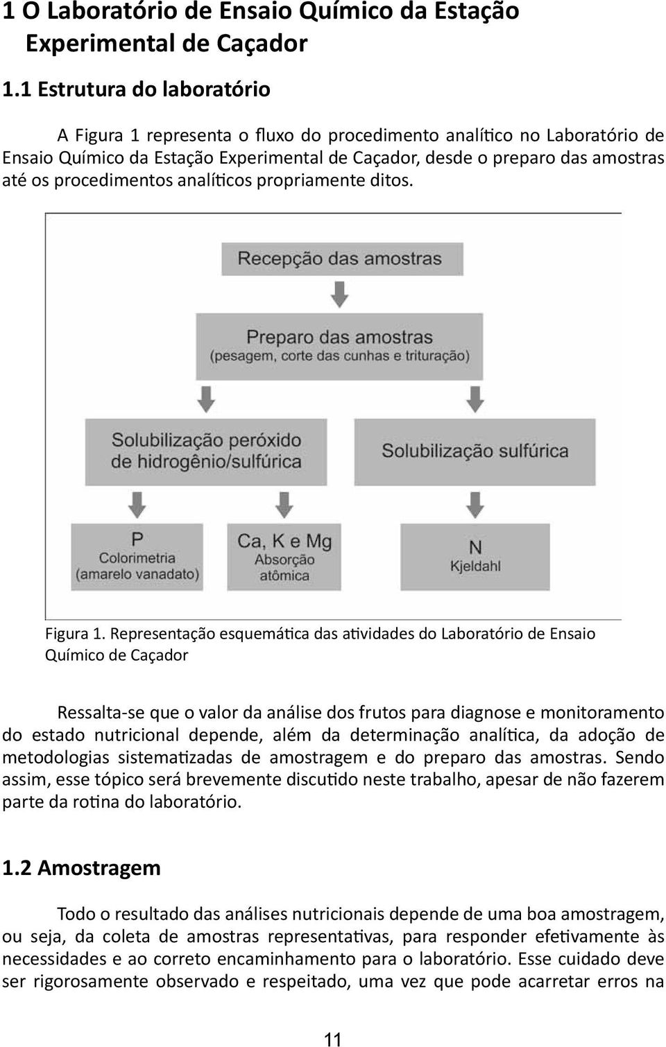 procedimentos analíticos propriamente ditos. Figura 1.