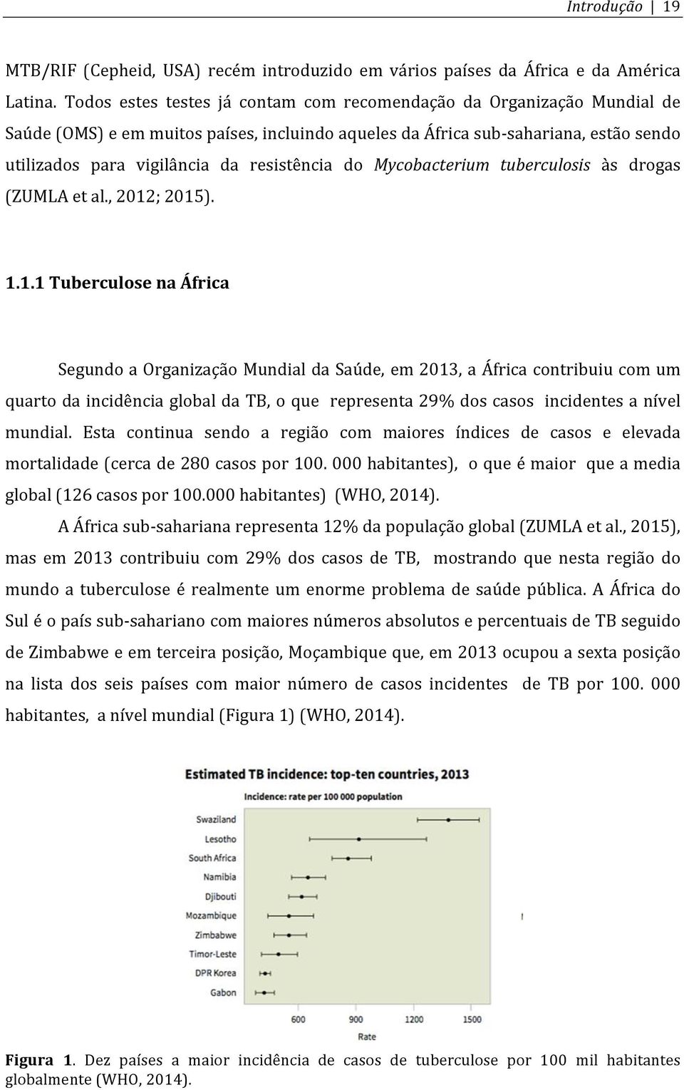 resistência do Mycobacterium tuberculosis às drogas (ZUMLA et al., 2012