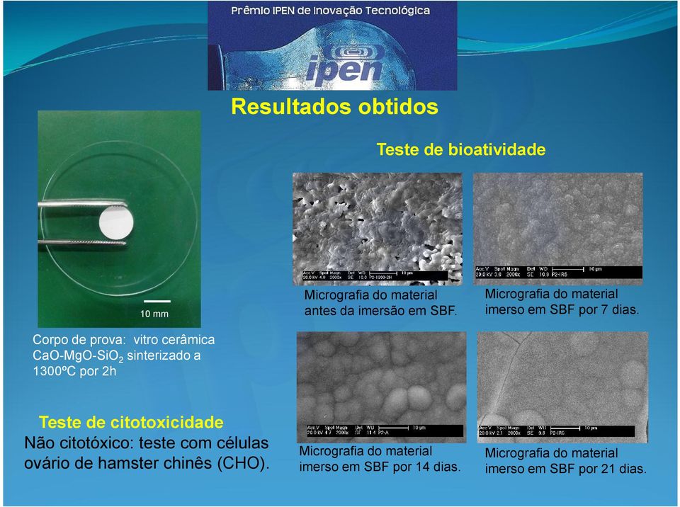 Micrografia do material imerso em SBF por 7 dias.