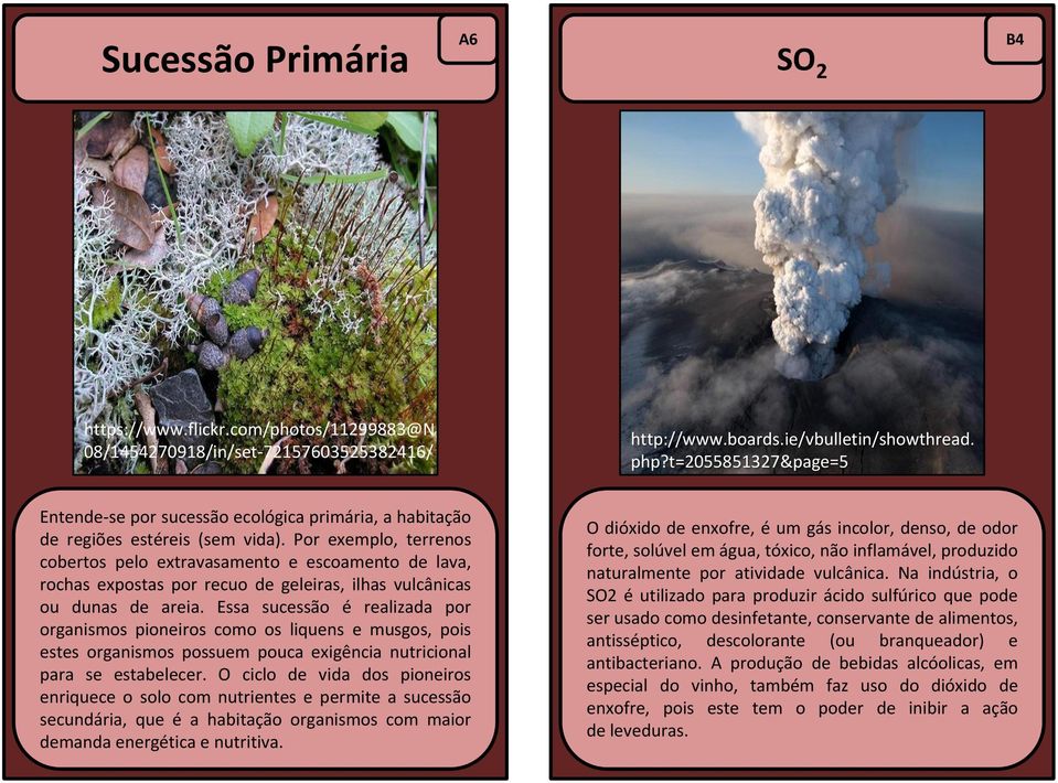 Por exemplo, terrenos cobertos pelo extravasamento e escoamento de lava, rochas expostas por recuo de geleiras, ilhas vulcânicas ou dunas de areia.