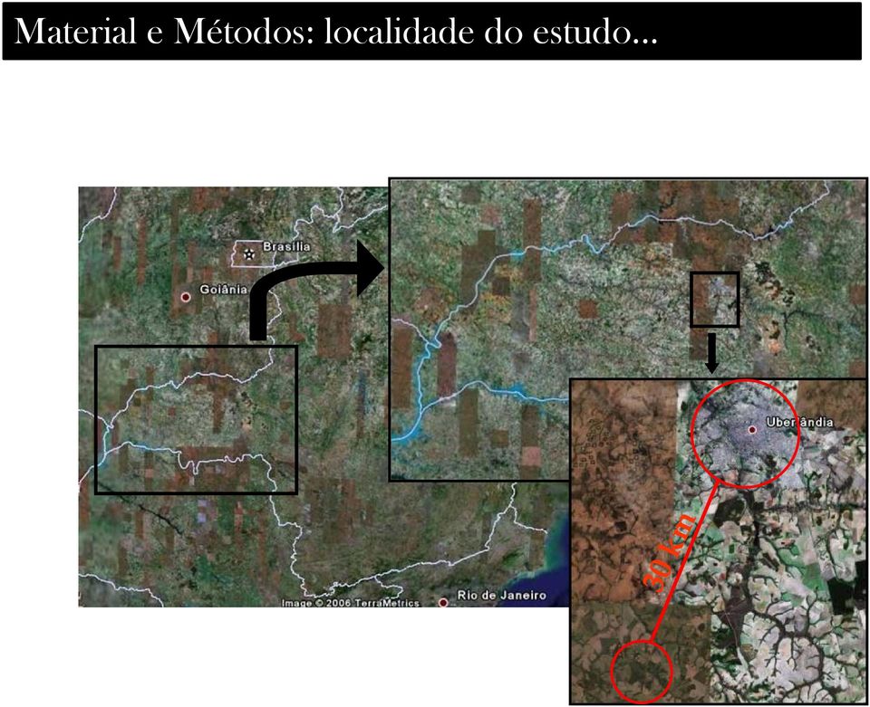 localidade