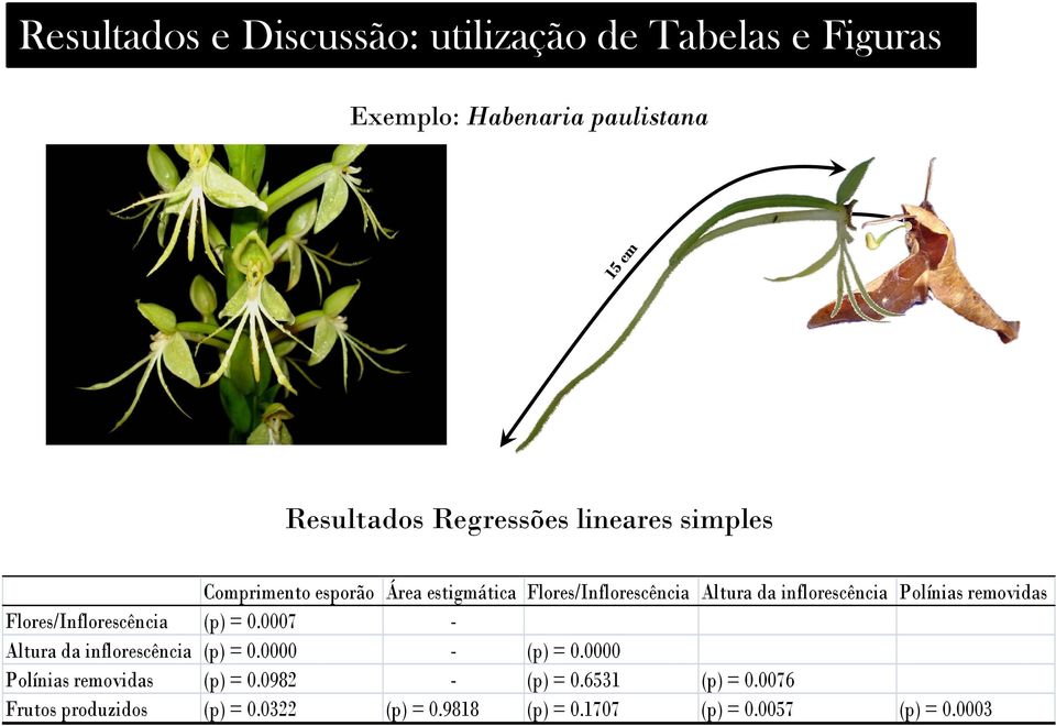 removidas Flores/Inflorescência (p) = 0.0007 Altura da inflorescência (p) = 0.0000 (p) = 0.