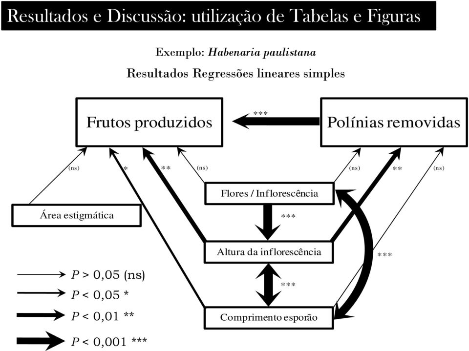 (ns) * ** (ns) (ns) ** (ns) Flores / Inflorescência Área estigmática *** P > 0,05 (ns)