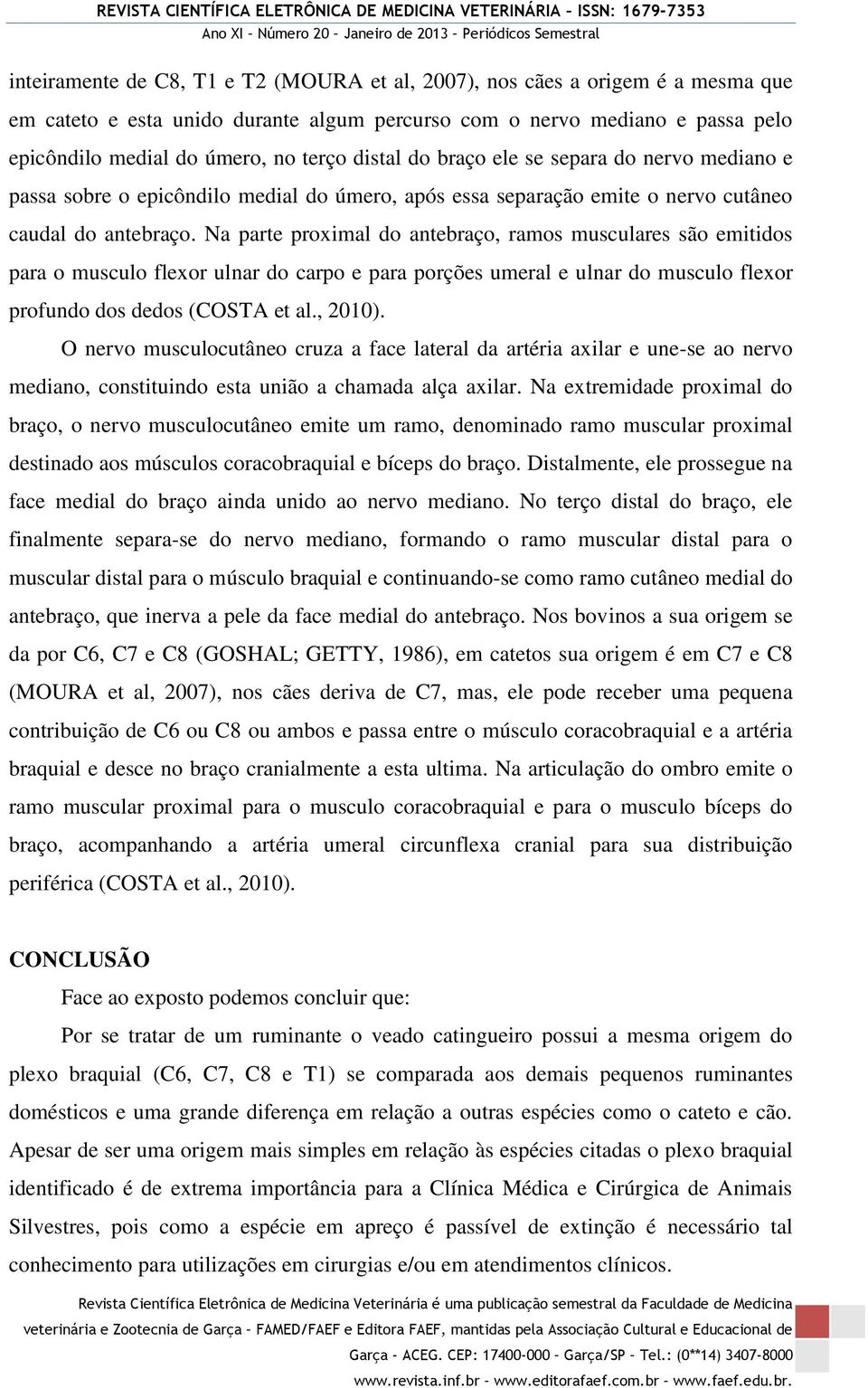 Na parte proximal do antebraço, ramos musculares são emitidos para o musculo flexor ulnar do carpo e para porções umeral e ulnar do musculo flexor profundo dos dedos (COSTA et al., 2010).