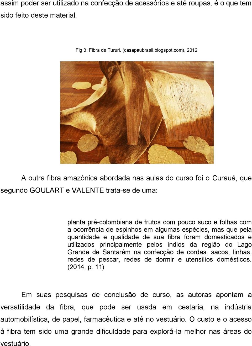 espinhos em algumas espécies, mas que pela quantidade e qualidade de sua fibra foram domesticados e utilizados principalmente pelos índios da região do Lago Grande de Santarém na confecção de cordas,