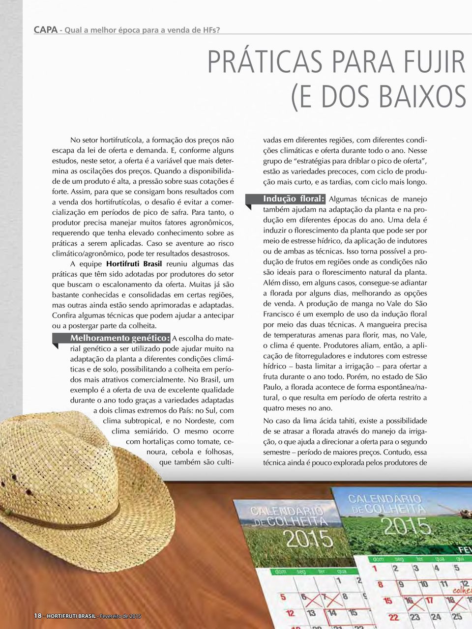 Assim, para que se consigam bons resultados com a venda dos hortifrutícolas, o desafio é evitar a comercialização em períodos de pico de safra.