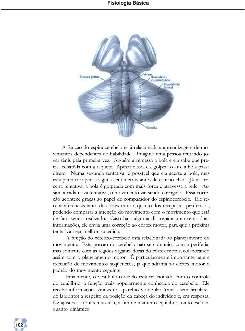 Numa segunda tentativa, é possível que ela acerte a bola, mas esta percorre apenas alguns centímetros antes de cair no chão.