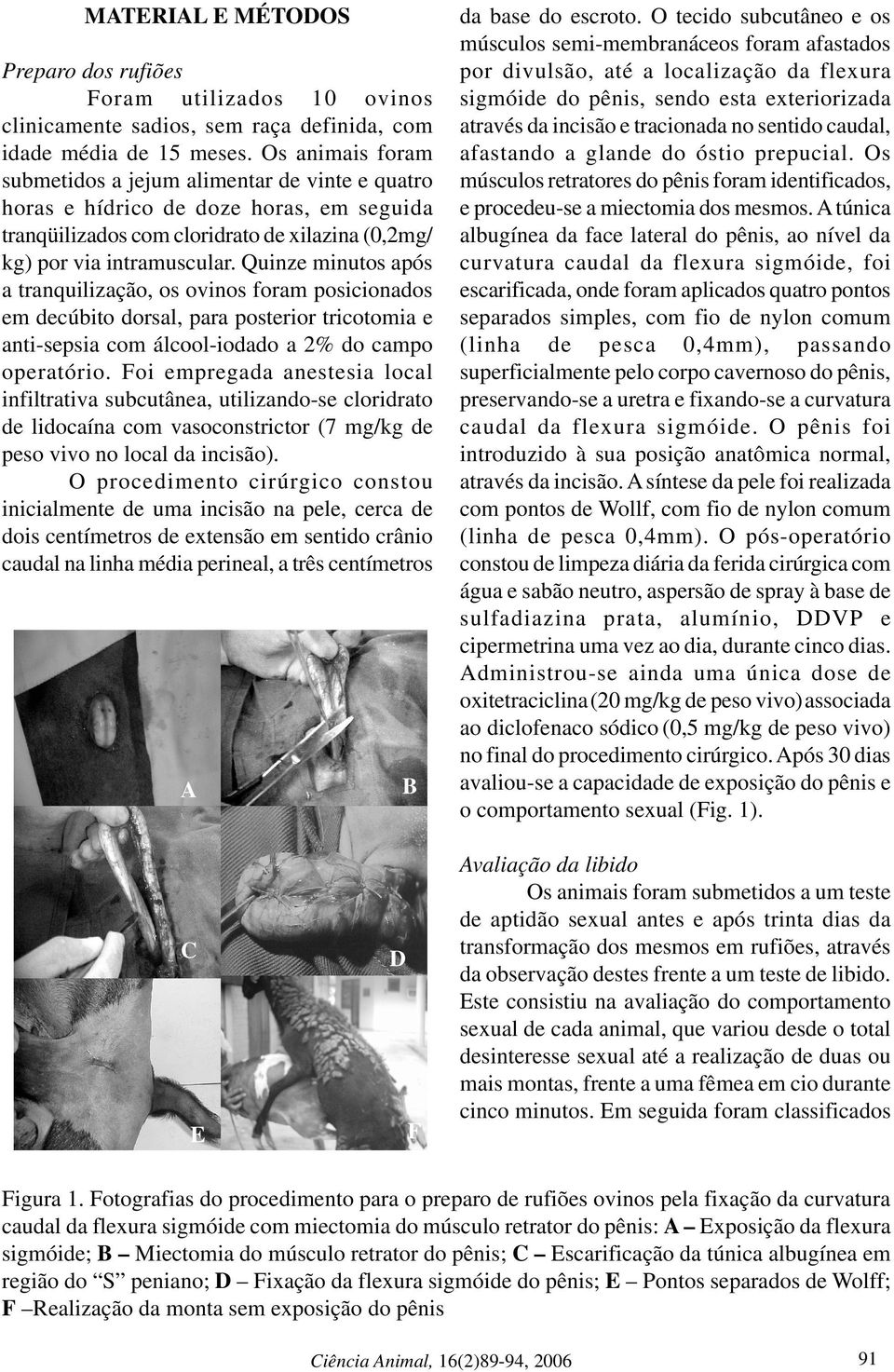 Quinze minutos após a tranquilização, os ovinos foram posicionados em decúbito dorsal, para posterior tricotomia e anti-sepsia com álcool-iodado a 2% do campo operatório.