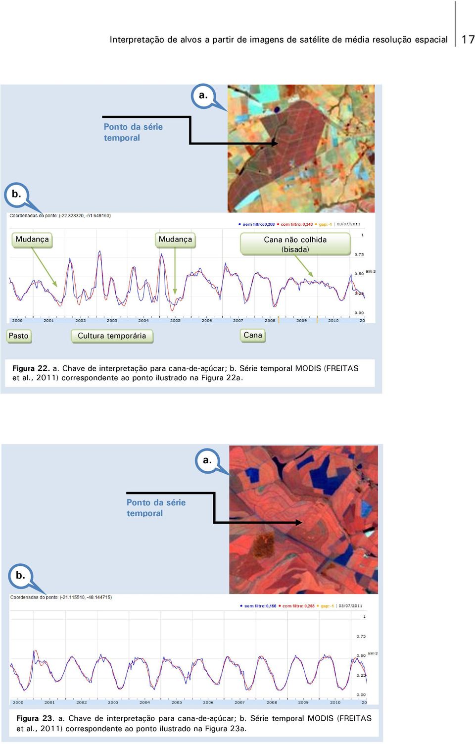 Chave de interpretação para cana-de-açúcar; Série MODIS (FREITAS et al.