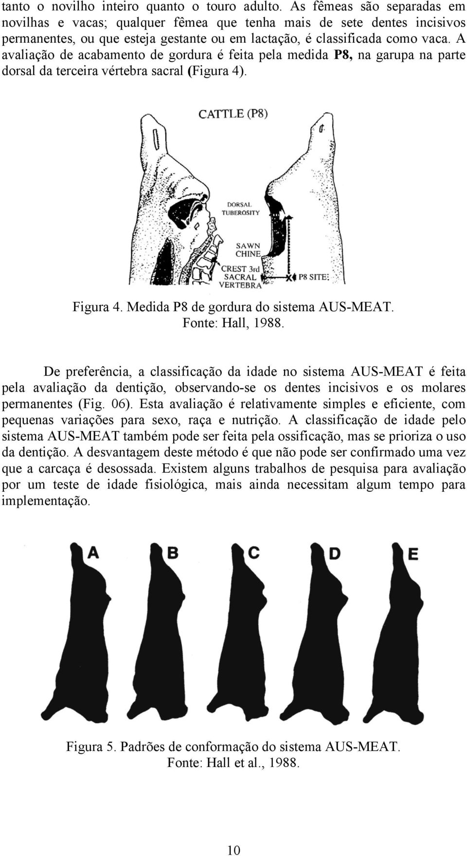 A avaliação de acabamento de gordura é feita pela medida P8, na garupa na parte dorsal da terceira vértebra sacral (Figura 4). Figura 4. Medida P8 de gordura do sistema AUS-MEAT. Fonte: Hall, 1988.