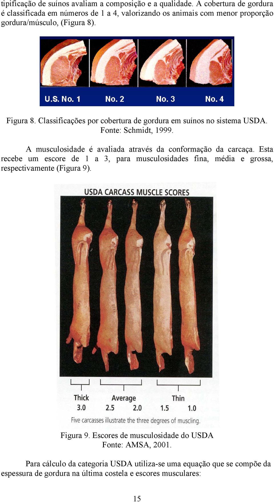 Classificações por cobertura de gordura em suínos no sistema USDA. Fonte: Schmidt, 1999. A musculosidade é avaliada através da conformação da carcaça.