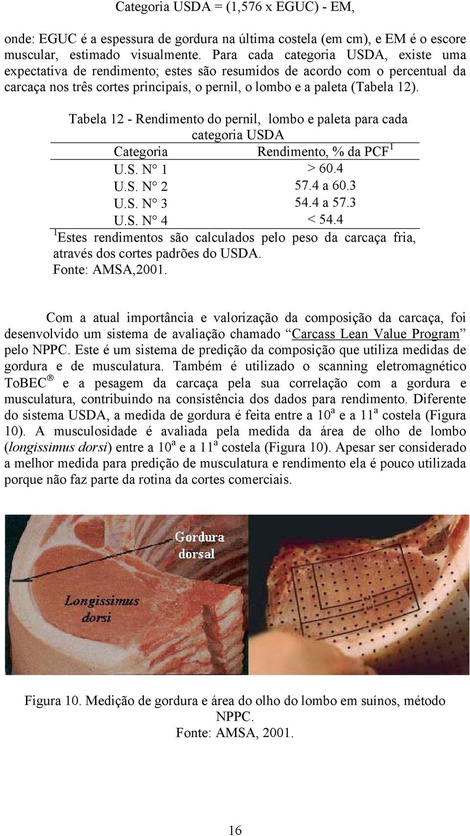 Tabela 12 - Rendimento do pernil, lombo e paleta para cada categoria USDA Categoria Rendimento, % da PCF 1 U.S. N 1 > 60.4 U.S. N 2 57.4 a 60.3 U.S. N 3 54.4 a 57.3 U.S. N 4 < 54.