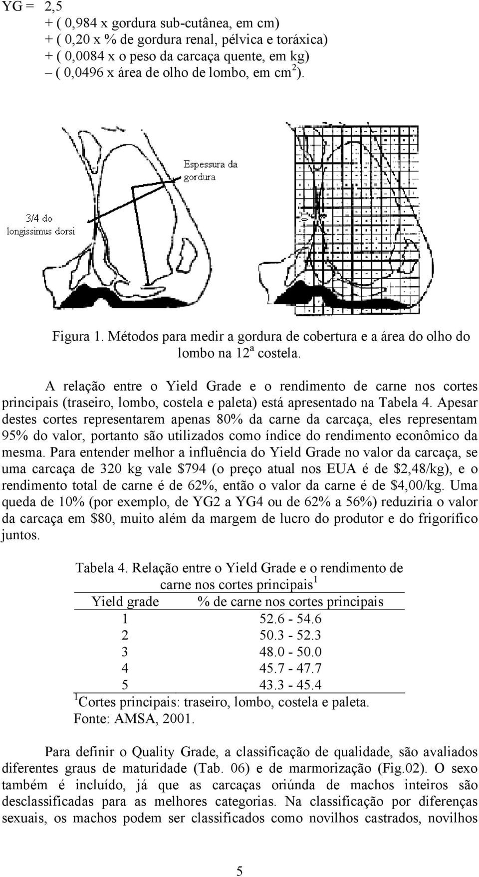 A relação entre o Yield Grade e o rendimento de carne nos cortes principais (traseiro, lombo, costela e paleta) está apresentado na Tabela 4.