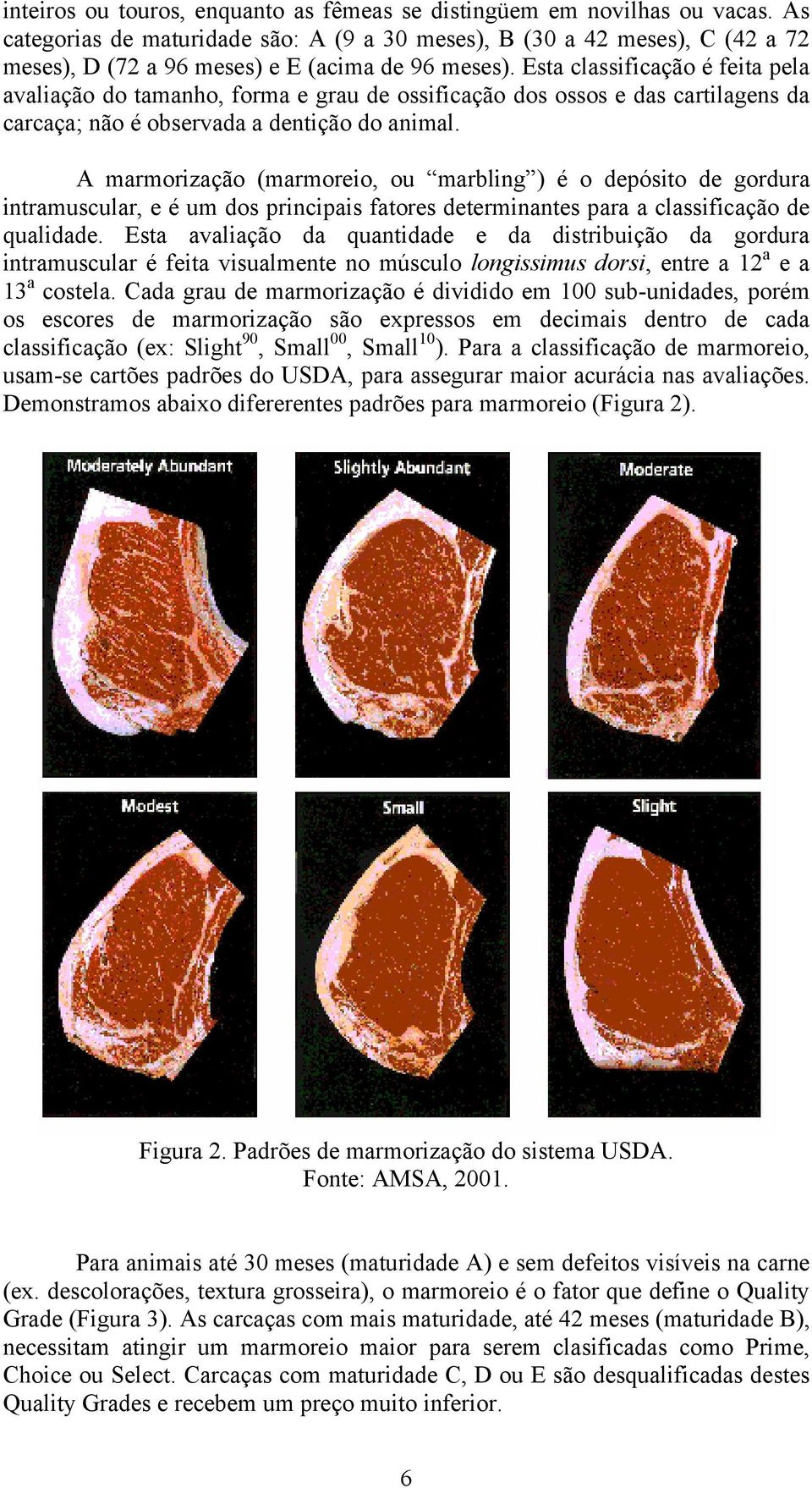 Esta classificação é feita pela avaliação do tamanho, forma e grau de ossificação dos ossos e das cartilagens da carcaça; não é observada a dentição do animal.