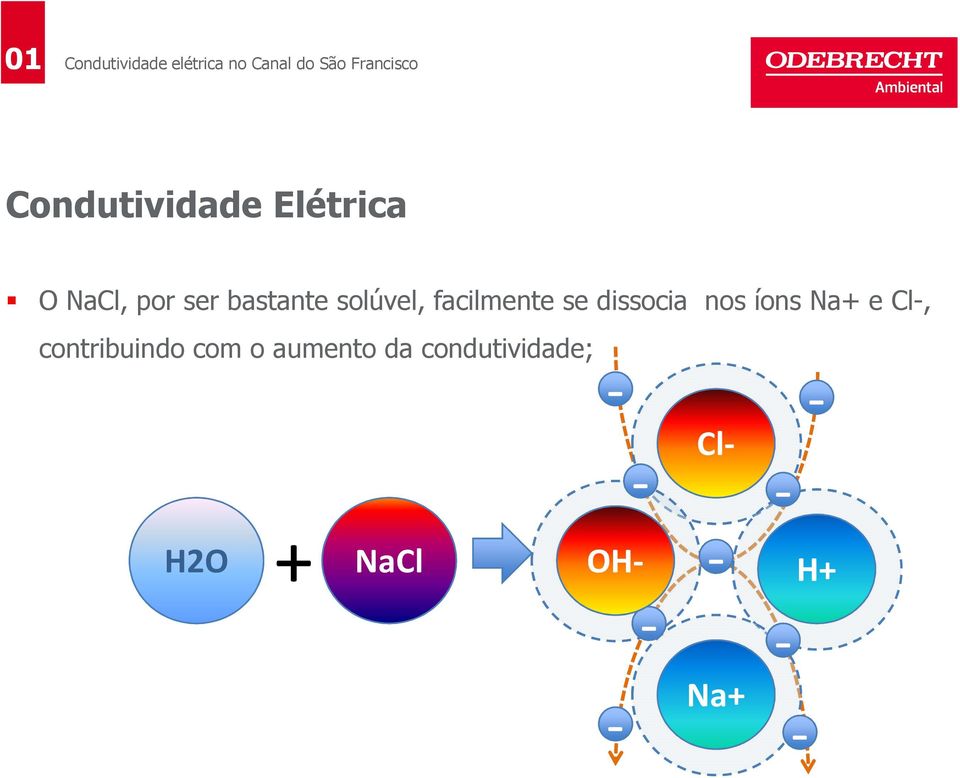 íons Na+ e Cl-, contribuindo com o aumento da