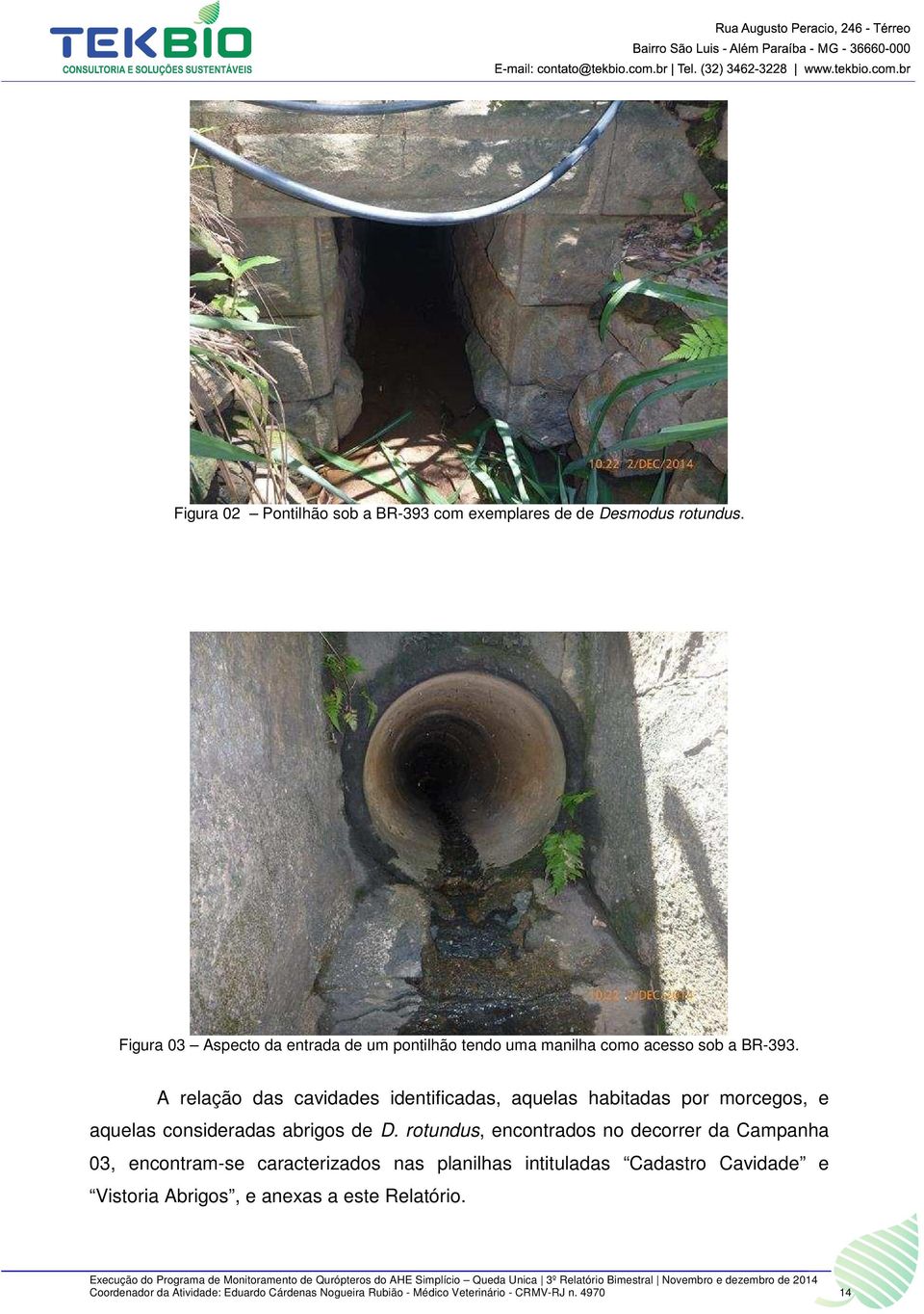 A relação das cavidades identificadas, aquelas habitadas por morcegos, e aquelas consideradas abrigos de D.