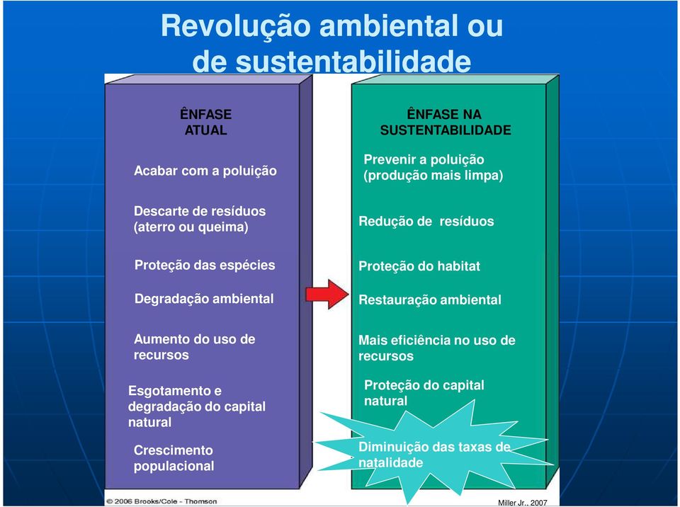 Proteção do habitat Restauração ambiental Aumento do uso de recursos Esgotamento e degradação do capital natural Crescimento