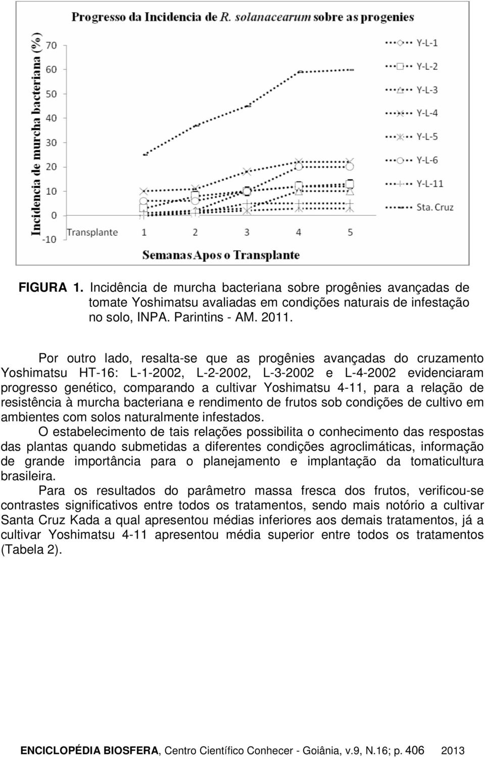 para a relação de resistência à murcha bacteriana e rendimento de frutos sob condições de cultivo em ambientes com solos naturalmente infestados.