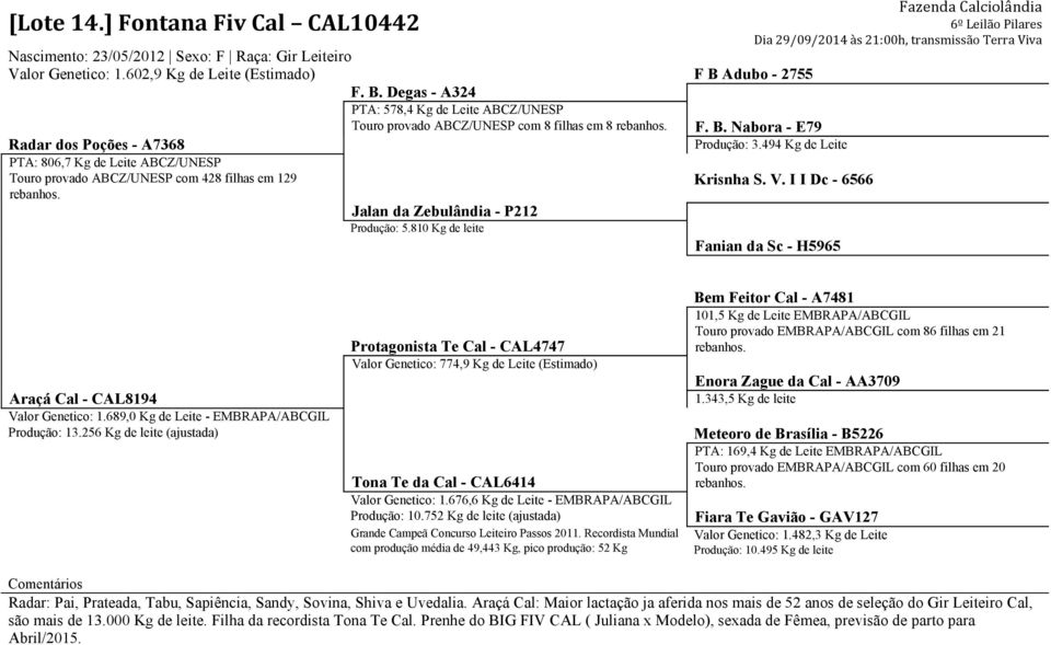 I I Dc - 6566 Fanian da Sc - H5965 Bem Feitor Cal - A7481 101,5 Kg de Leite EMBRAPA/ABCGIL Touro provado EMBRAPA/ABCGIL com 86 filhas em 21 Protagonista Te Cal - CAL4747 Valor Genetico: 774,9 Kg de