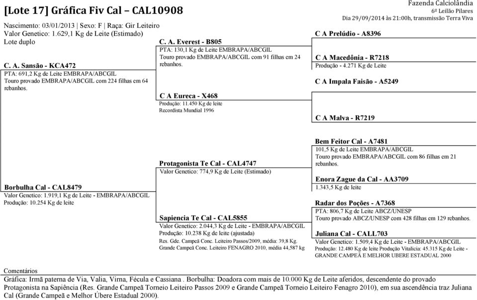 450 Kg de leite Recordista Mundial 1996 C A Malva - R7219 Bem Feitor Cal - A7481 101,5 Kg de Leite EMBRAPA/ABCGIL Touro provado EMBRAPA/ABCGIL com 86 filhas em 21 Protagonista Te Cal - CAL4747 Valor