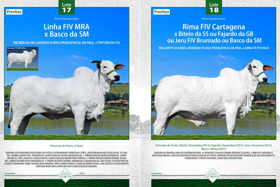 GINKA TE POI VALE) Previsão de Parto: à fazer Doadora de desempenho ecepcional nas pistas e etremamente produtiva e fértil. Super premiada nas pistas do MS, SP e MG: Res. Grande Campeã Pres.