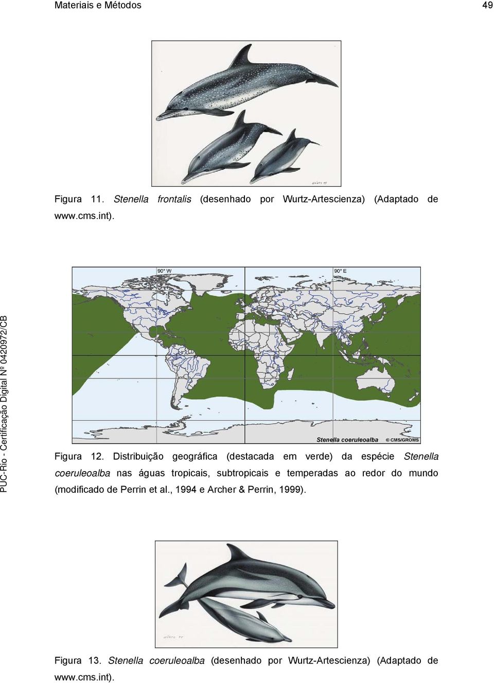 Distribuição geográfica (destacada em verde) da espécie Stenella coeruleoalba nas águas tropicais,