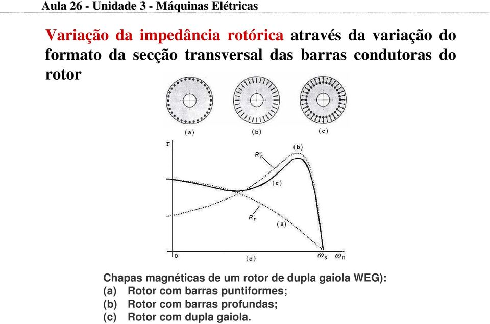 do rotor Chapas magnéticas de um rotor de dupla gaiola WEG): (a) Rotor com