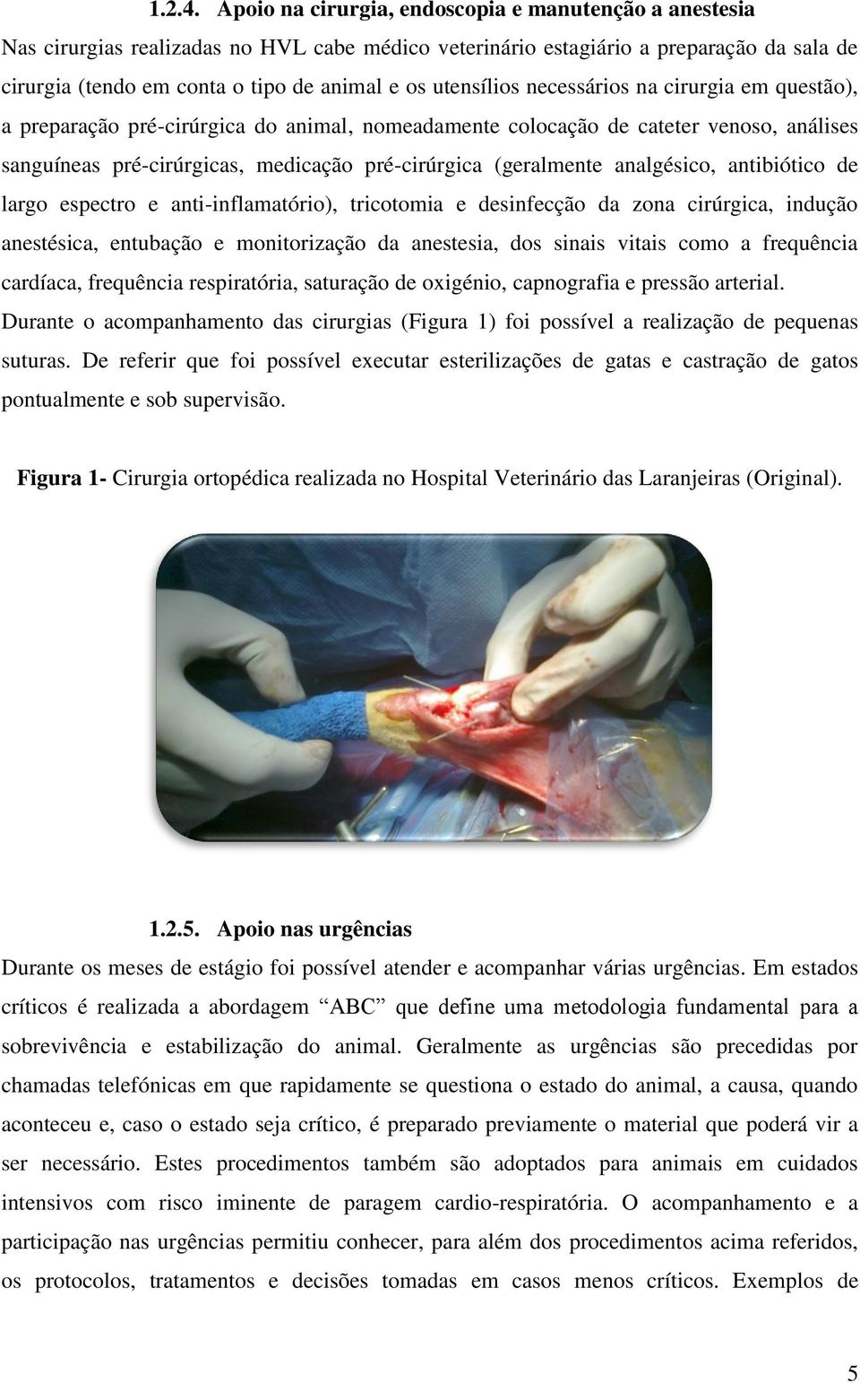 utensílios necessários na cirurgia em questão), a preparação pré-cirúrgica do animal, nomeadamente colocação de cateter venoso, análises sanguíneas pré-cirúrgicas, medicação pré-cirúrgica (geralmente