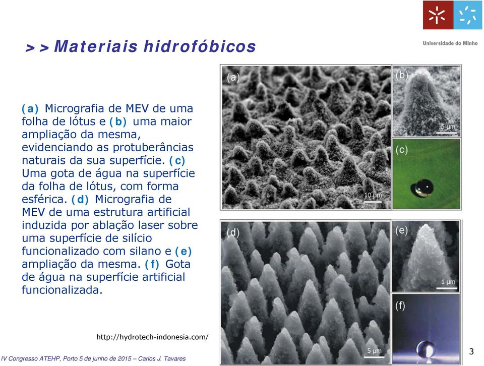 (d) Micrografia de MEV de uma estrutura artificial induzida por ablação laser sobre uma superfície de silício
