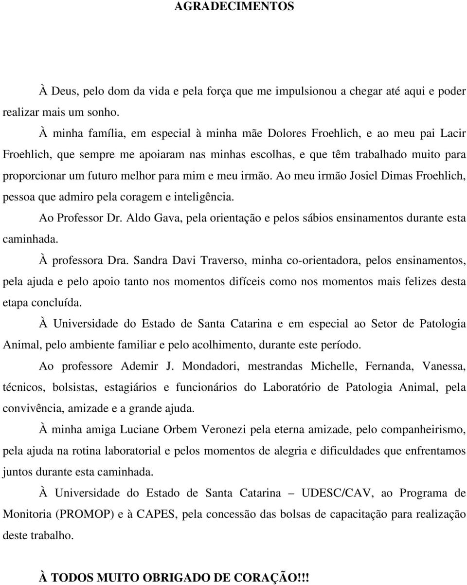 para mim e meu irmão. Ao meu irmão Josiel Dimas Froehlich, pessoa que admiro pela coragem e inteligência. Ao Professor Dr.