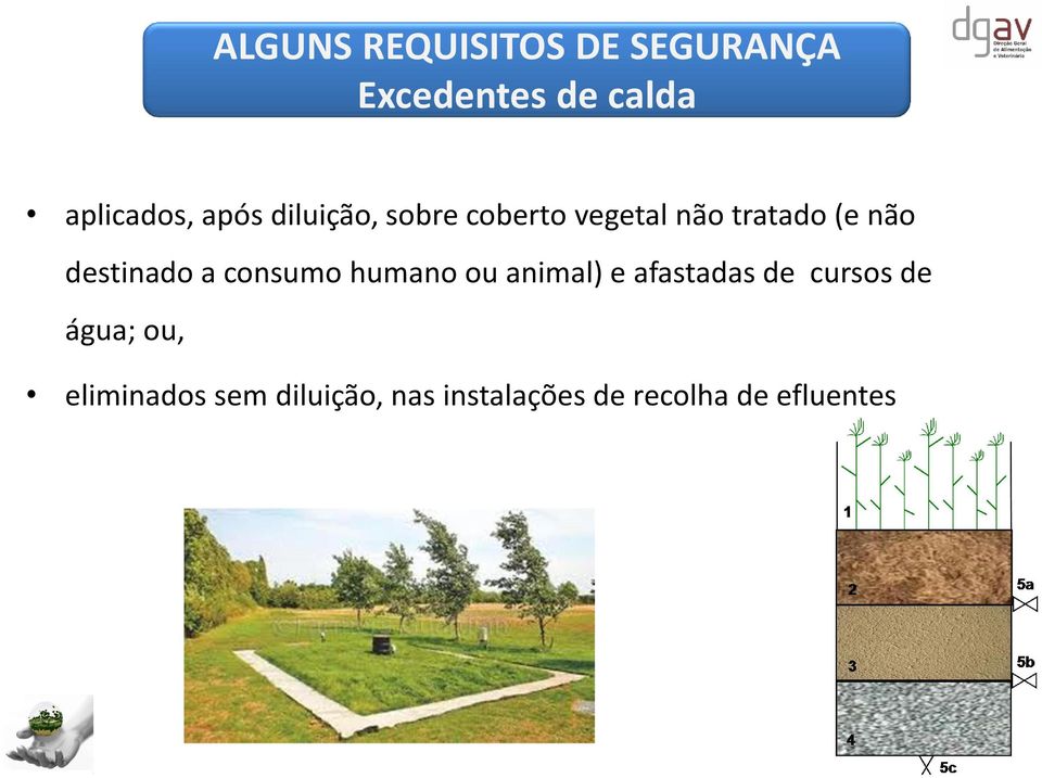 destinado a consumo humano ou animal) e afastadas de cursos de