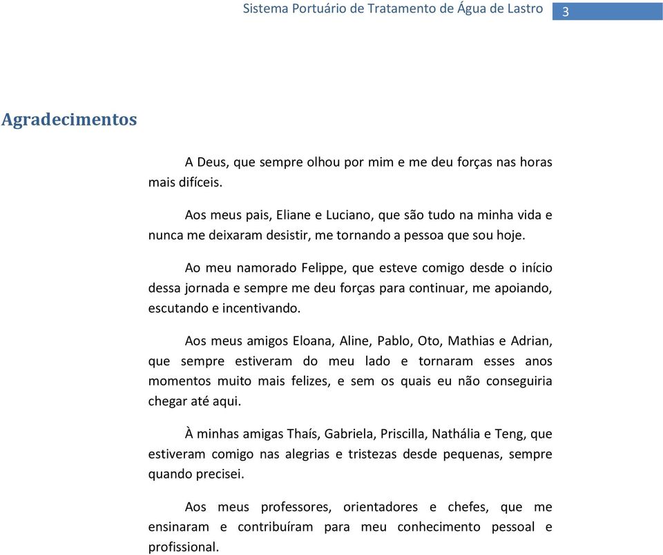 Ao meu namorado Felippe, que esteve comigo desde o início dessa jornada e sempre me deu forças para continuar, me apoiando, escutando e incentivando.