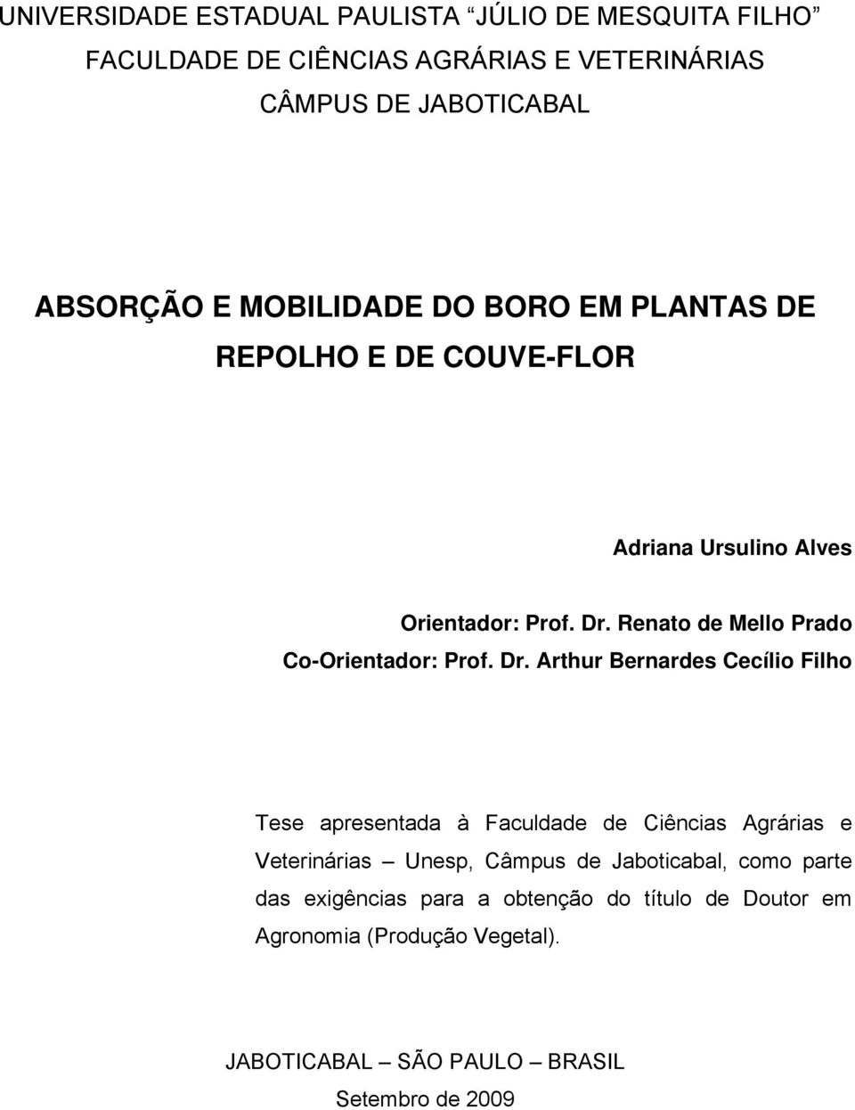 Renato de Mello Prado Co-Orientador: Prof. Dr.