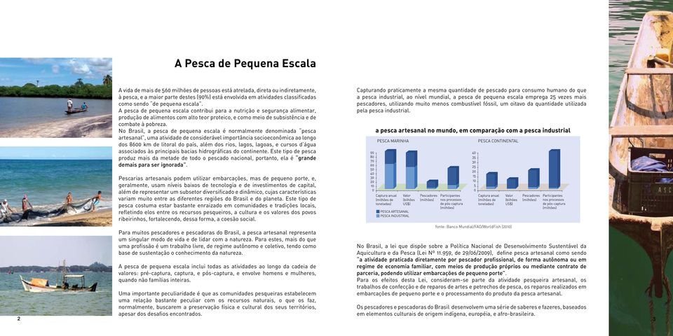 No Brasil, a pesca de pequena escala é normalmente denominada pesca artesanal, uma atividade de considerável importância socioeconômica ao longo dos 8600 km de litoral do país, além dos rios, lagos,