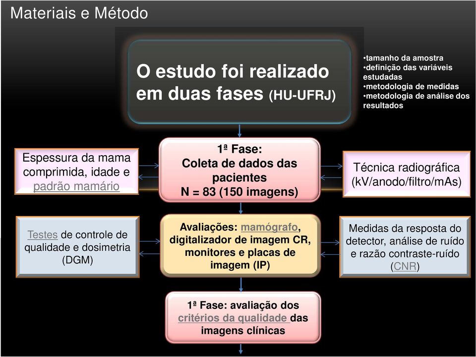 radiográfica (kv/anodo/filtro/mas) Testes de controle de qualidade e dosimetria (DGM) Avaliações: mamógrafo, digitalizador de imagem CR, monitores e