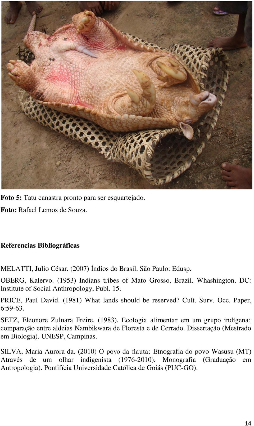 SETZ, Eleonore Zulnara Freire. (1983). Ecologia alimentar em um grupo indígena: comparação entre aldeias Nambikwara de Floresta e de Cerrado. Dissertação (Mestrado em Biologia). UNESP, Campinas.
