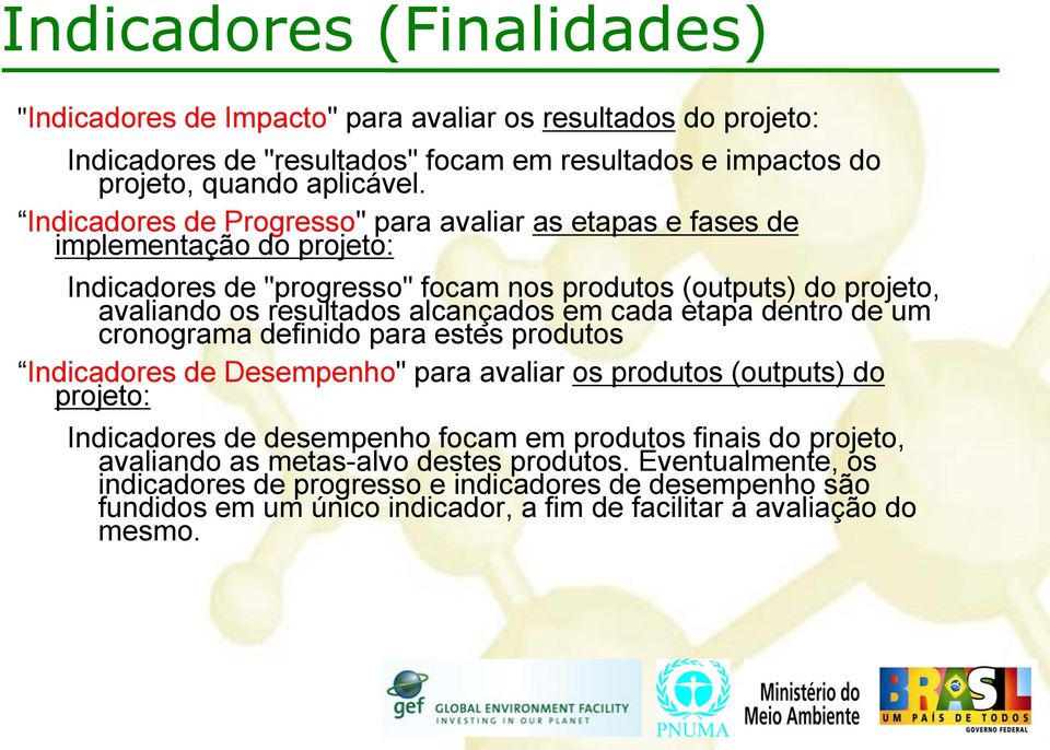 em cada etapa dentro de um cronograma definido para estes produtos Indicadores de Desempenho" para avaliar os produtos (outputs) do projeto: Indicadores de desempenho focam em produtos