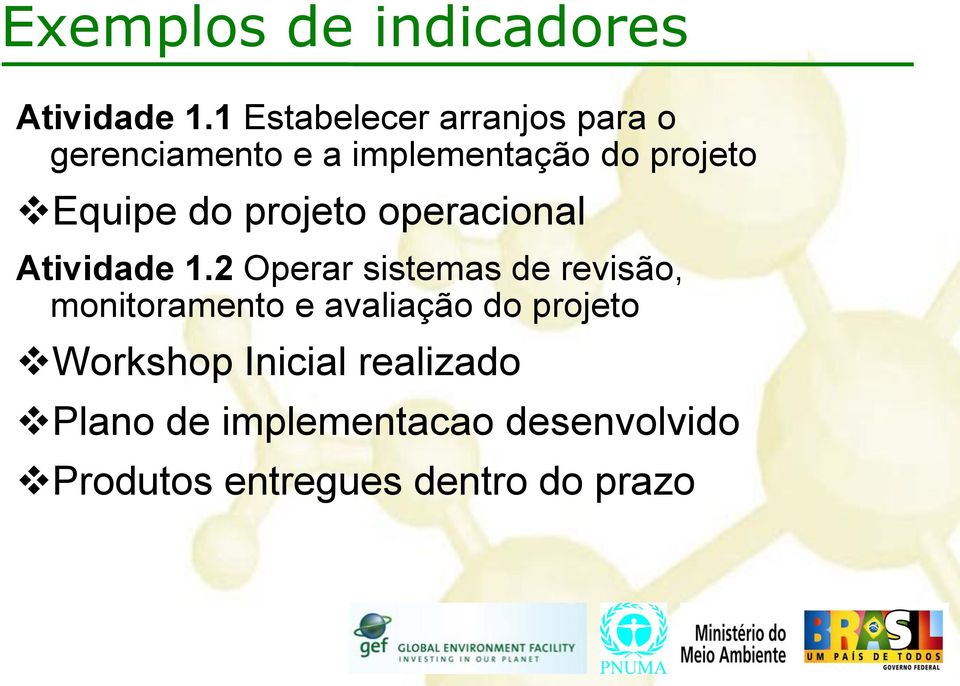 1 Estabelecer arranjos para o gerenciamento e a implementação do projeto Equipe do projeto operacional