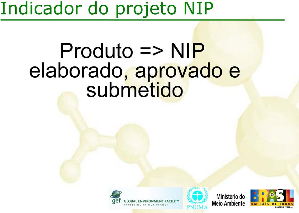 implementação do Projeto NIP.