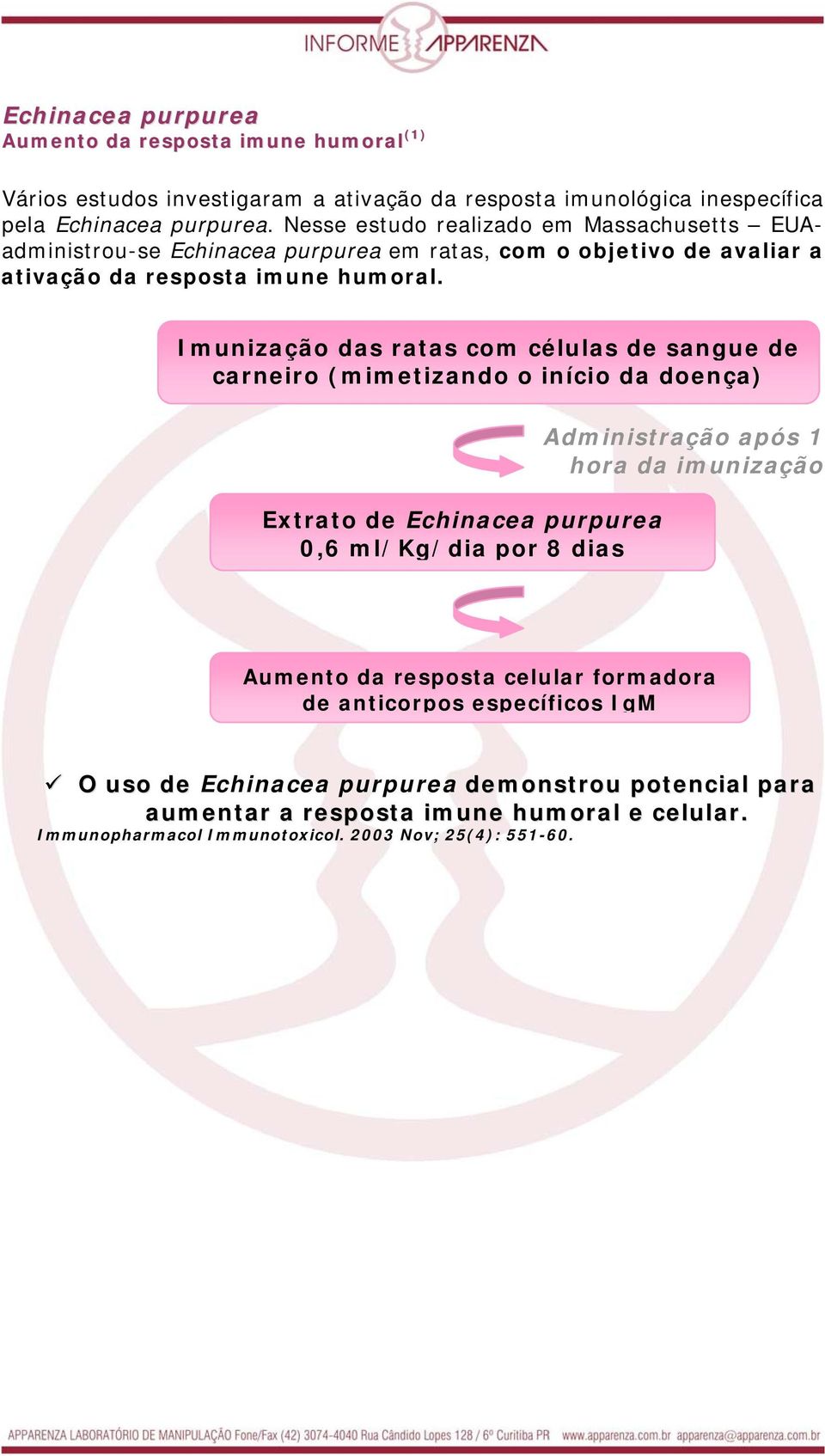 Imunização das ratas com células de sangue de carneiro (mimetizando o início da doença) Extrato de Echinacea purpurea 0,6 ml/kg/dia por 8 dias Administração após 1 hora da