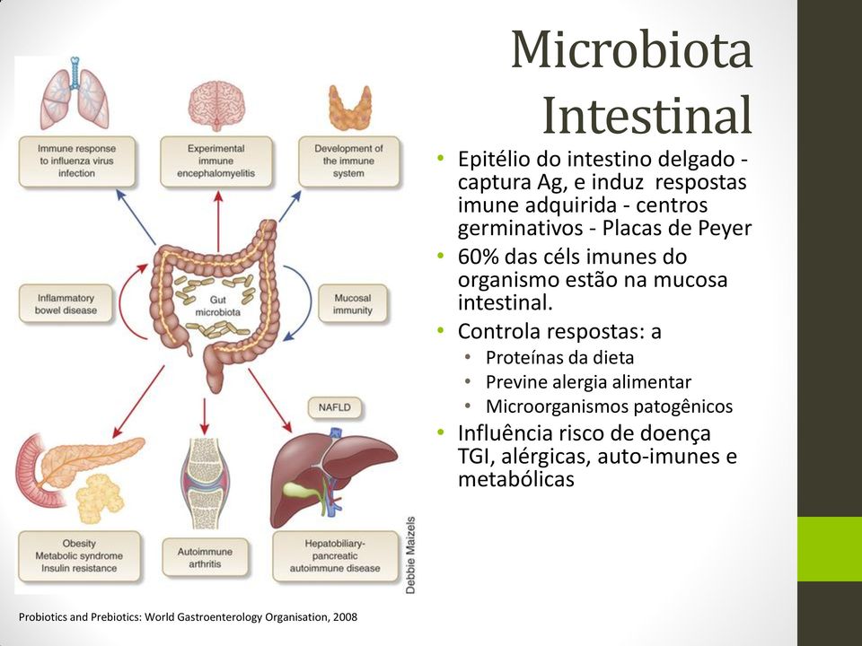 intestino delgado - captura Ag, e induz respostas imune adquirida - centros germinativos - Placas de Peyer 60% das céls imunes do organismo estão na mucosa intestinal.