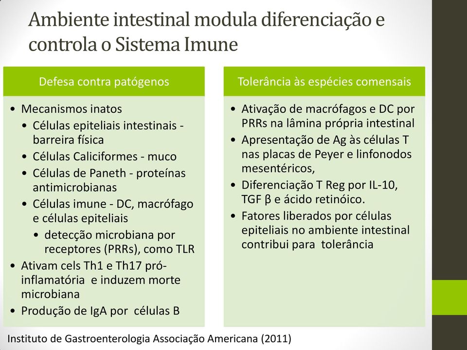 próinflamatória e induzem morte microbiana Produção de IgA por células B Ativação de macrófagos e DC por PRRs na lâmina própria intestinal Apresentação de Ag às células T nas placas de Peyer e