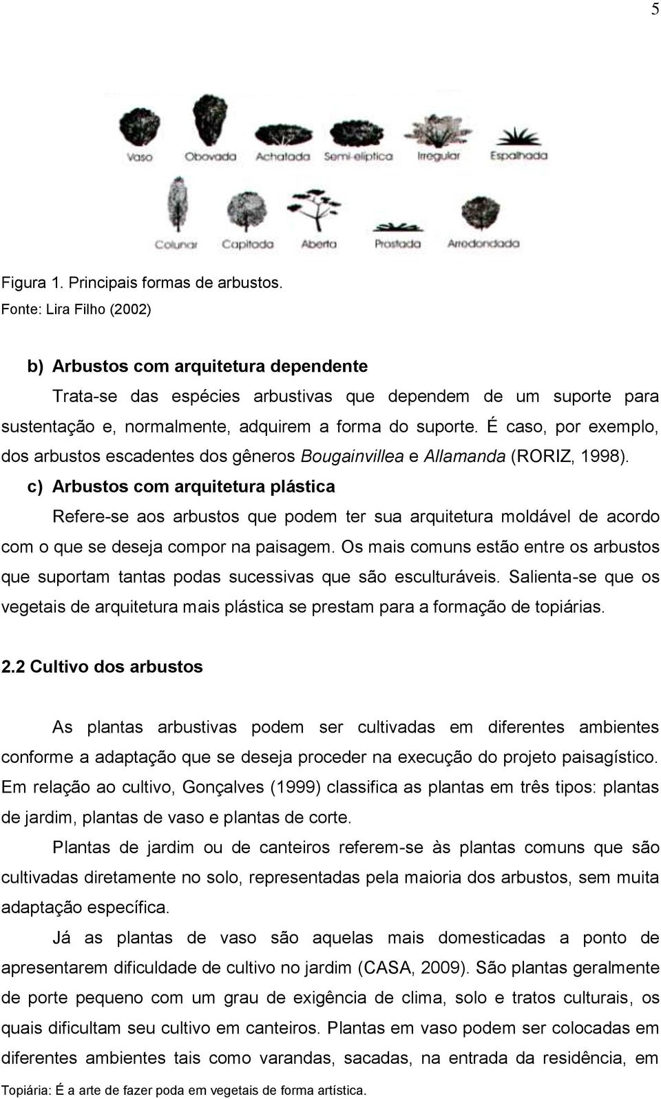 É caso, por exemplo, dos arbustos escadentes dos gêneros Bougainvillea e Allamanda (RORIZ, 1998).