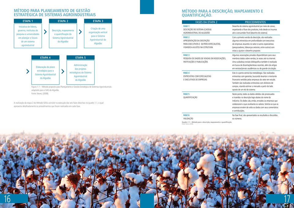 quantificação do Sistema Agroindustrial do Algodão Criação de uma organização vertical para o Sistema Agroindustrial do Algodão Fase 1 Descrição Do sistema (cadeia) agroindustrial Do algodão Fase 2