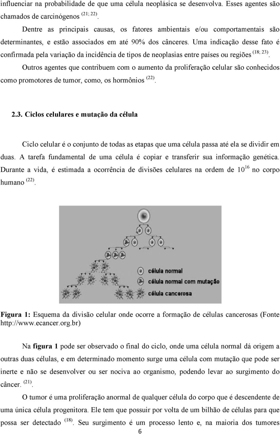 Uma indicação desse fato é confirmada pela variação da incidência de tipos de neoplasias entre países ou regiões (18; 23).