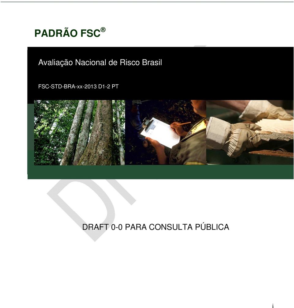 FSC-STD-BRA-xx-2013 D1-2