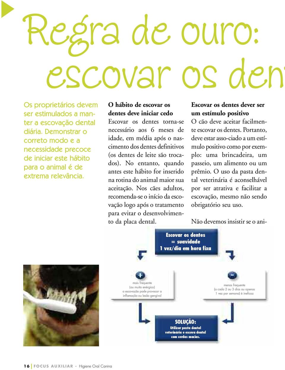 O hábito de escovar os dentes deve iniciar cedo Escovar os dentes torna-se necessário aos 6 meses de idade, em média após o nascimento dos dentes definitivos (os dentes de leite são trocados).