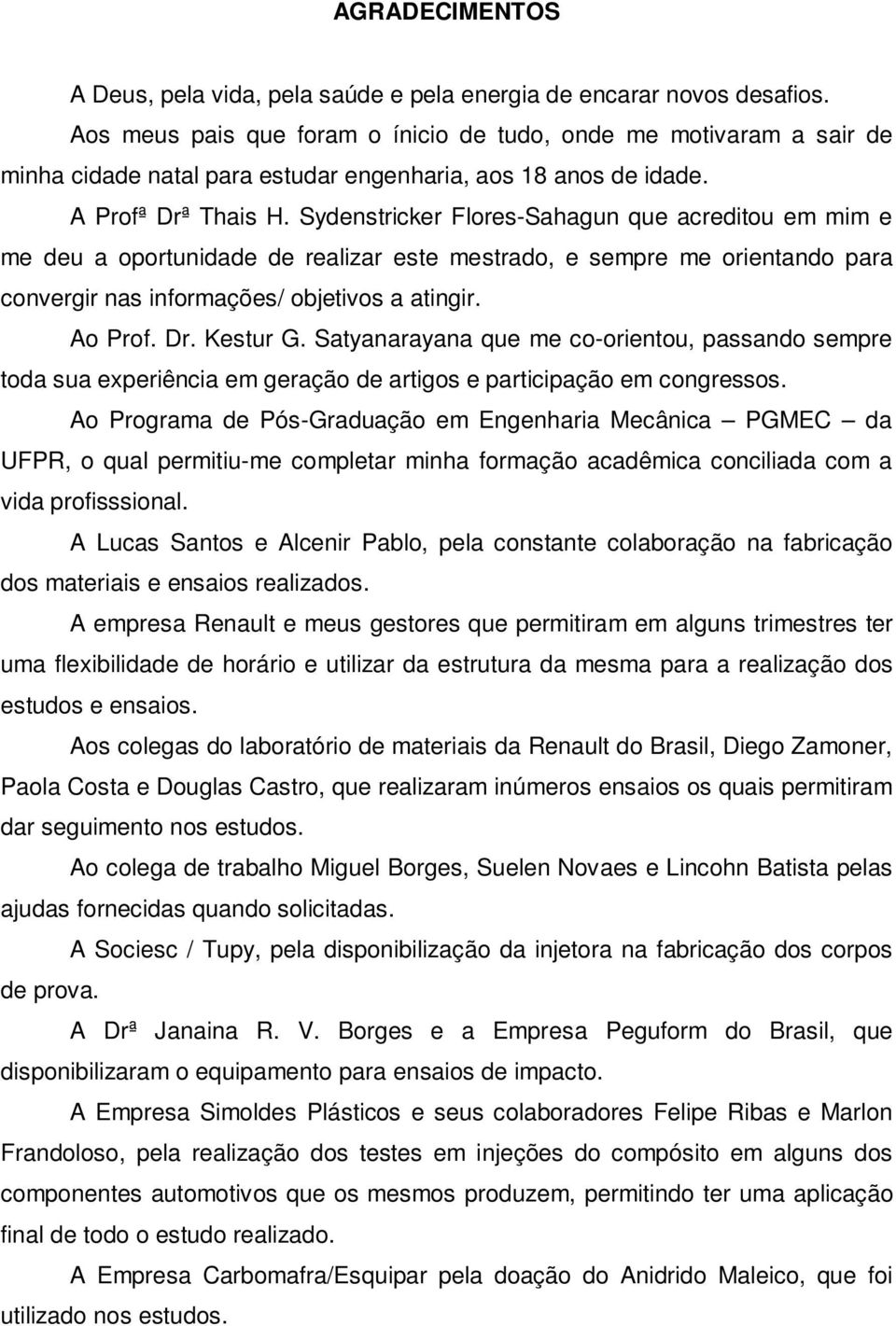 Sydenstricker Flores-Sahagun que acreditou em mim e me deu a oportunidade de realizar este mestrado, e sempre me orientando para convergir nas informações/ objetivos a atingir. Ao Prof. Dr. Kestur G.