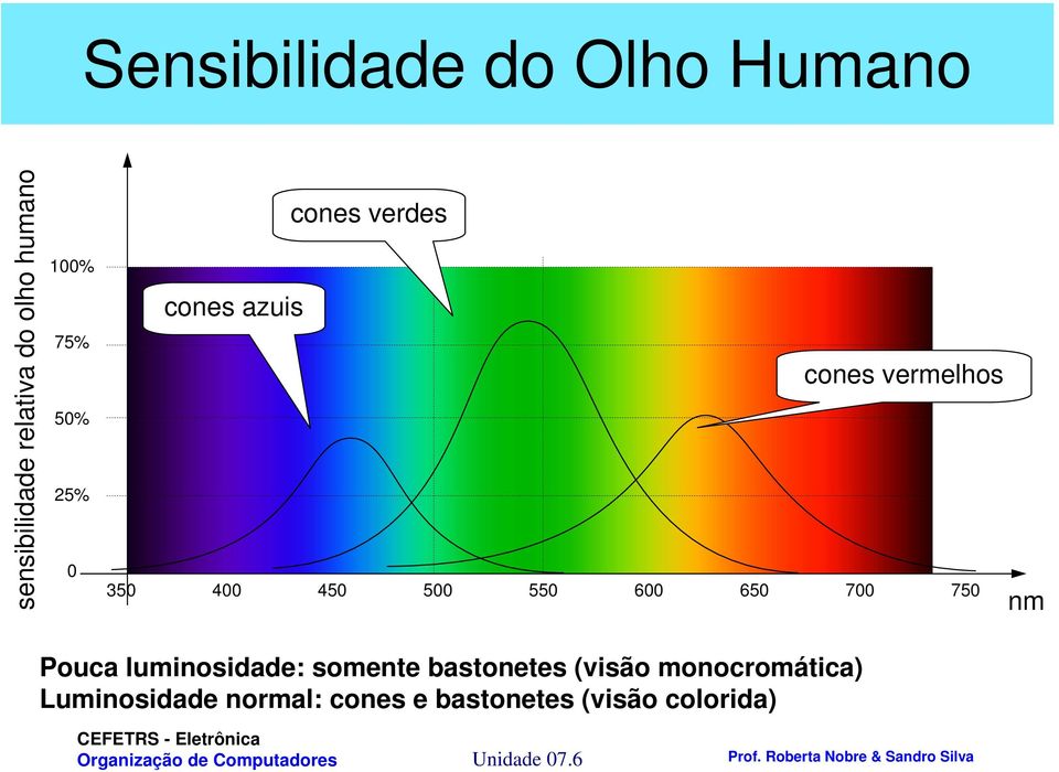 550 600 650 700 750 nm Pouca luminosidade: somente bastonetes (visão