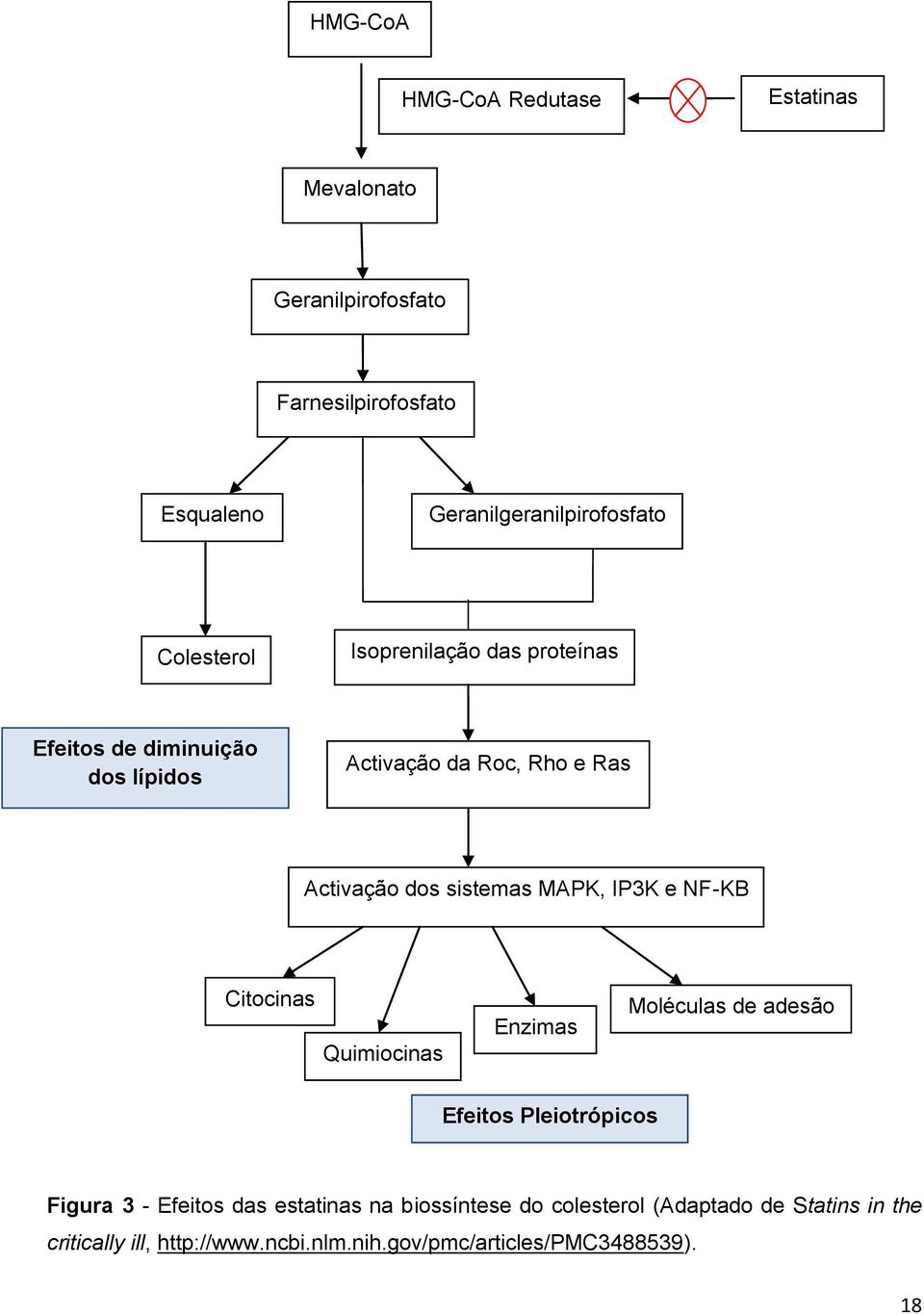 MAPK, IP3K e NF-KB Citocinas Quimiocinas Enzimas Moléculas de adesão Efeitos Pleiotrópicos Figura 3 - Efeitos das estatinas